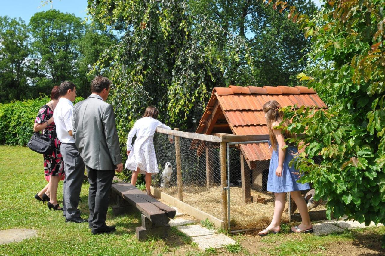 Gostisce - Guest House Stari Hrast 柳托梅尔 外观 照片